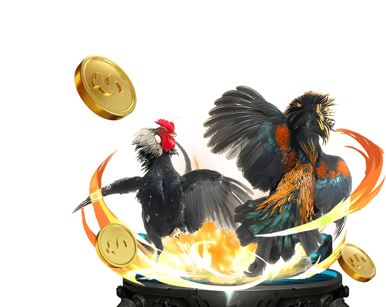 Đá gà cựa sắt tại bestvisa